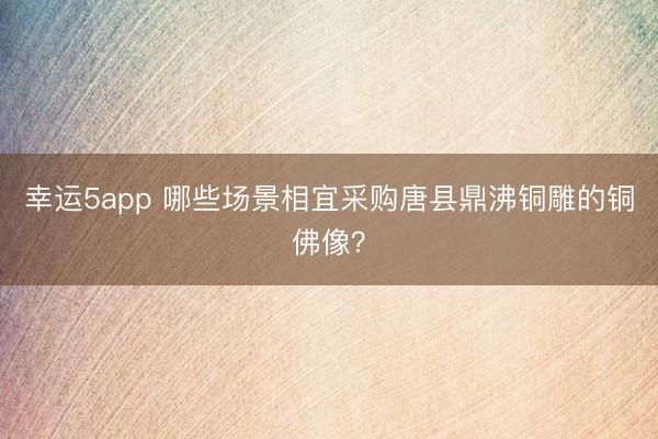 幸運5app 哪些場景相宜采購唐縣鼎沸銅雕的銅佛像？