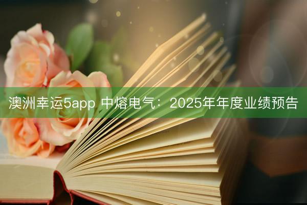 澳洲幸運5app 中熔電氣:2025年年度業績預告